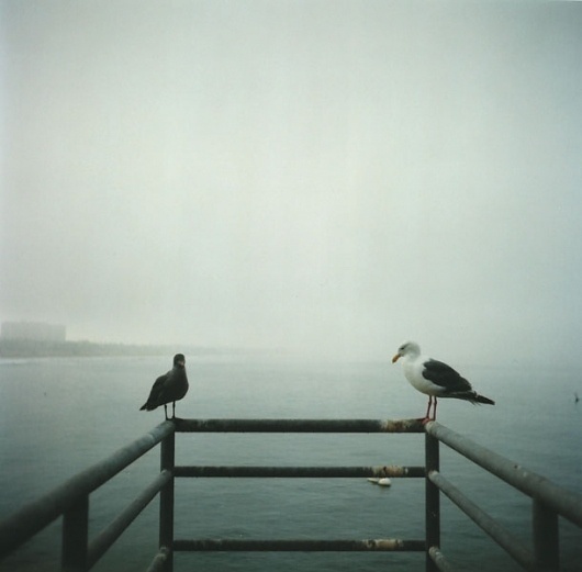Feaverish Photography § Oceanside #photography
