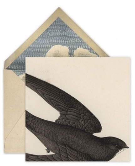 Design Work Life » cataloging inspiration daily #card #print #bird