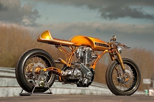 son of a gun bsa | urban taster #product