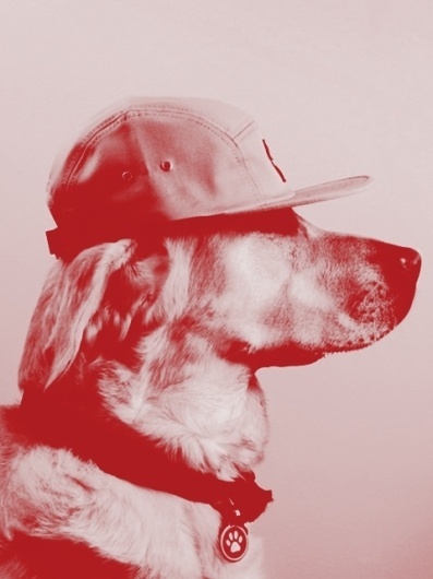SINCE65 #filter #red #scout