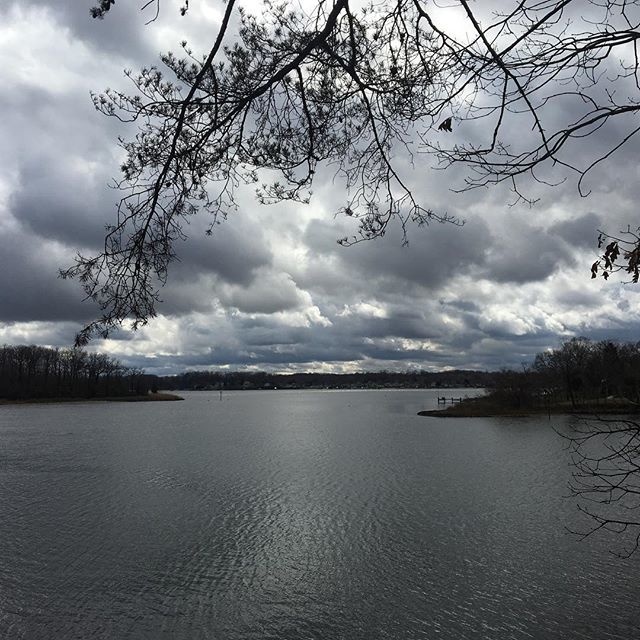 Lunchtime walk...