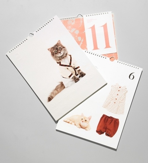 Studio Lin #kitten #calendar #opening #ceremony #cats #spring