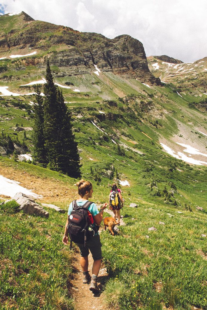 Hiking, trail, women and dog HD photo by Holly Mandarich (@hollymandarich) on Unsplash