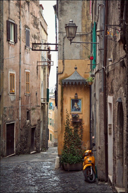 tumblr_n47iqgc1nU1qiad10o1_540.jpg (540×810)