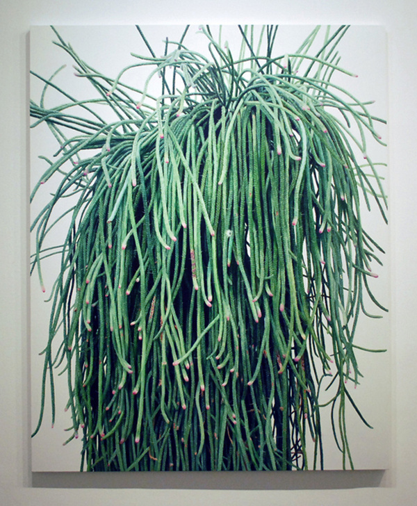 Cactus paintings – Kwang-Ho Lee #cactus #flora