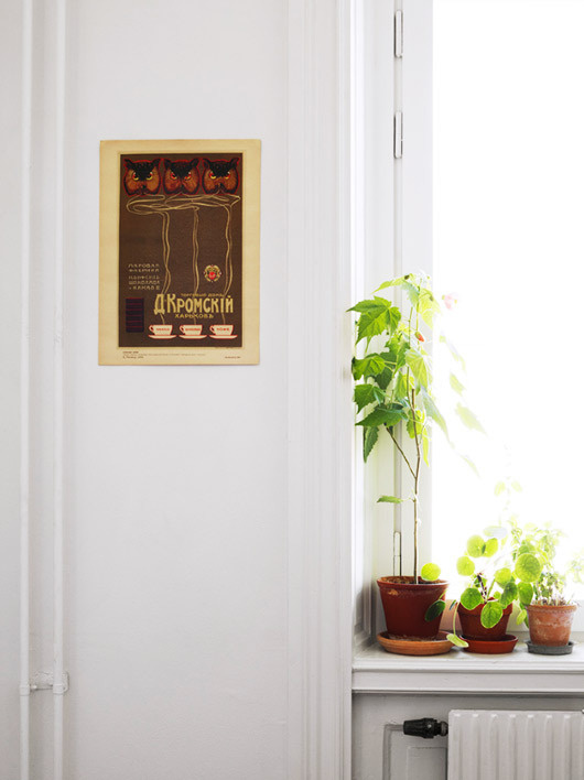 amanda rodriguez styling plants #interior #design #decor #deco #decoration