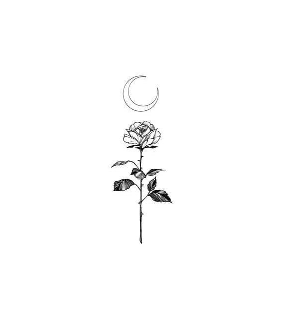 Rosa 🌹🌙