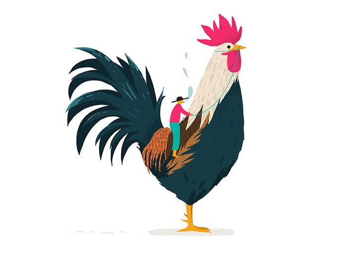 Rooster
