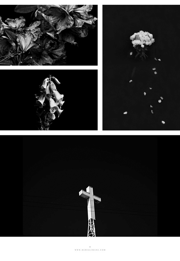 Every Reason to Panic #flowers