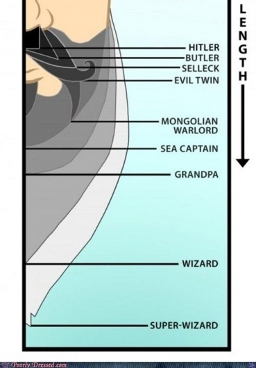 Facial hair poster #hair #facial