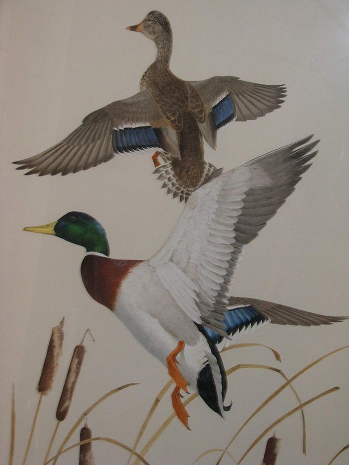 Ken Carlson Original Oil on Board Framed Mallard Hen & Drake Painting