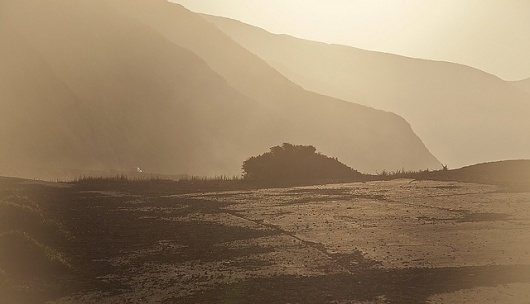 All sizes | Mugu_Sunriser | Flickr - Photo Sharing! #landscapes #plants