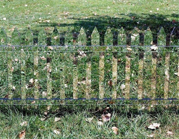 A Fence of Mirrors Reflects the Changing Landscape #fence #mirrors #yard #grass