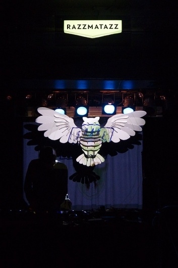 maumorgo #owl #installation