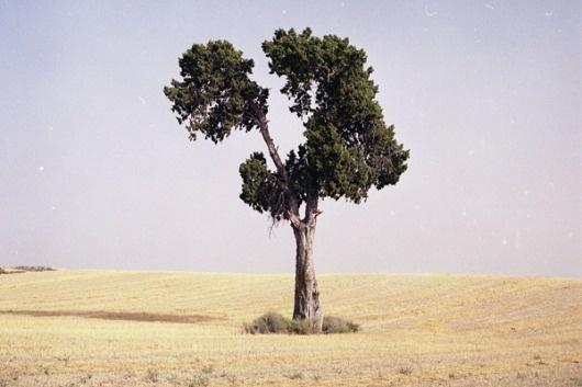 Polgaroid et ses photos | Beware Mag | Beware Mag #photography #polgaroid #film
