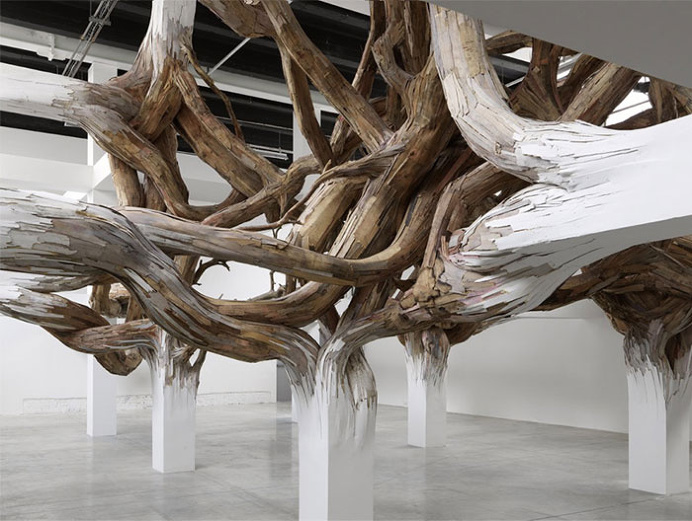 Organic Transformations by Henrique Oliveira