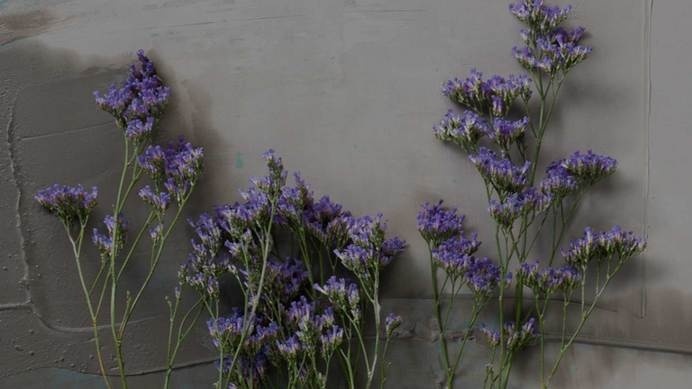 BLDG5 Records - Home #photography #swag #flowers