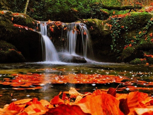 Autumn, waterfall #waterfall