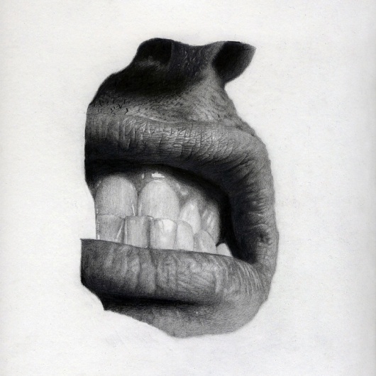 Saatchi Online Artist: Jonny Shaw; Pencil, 2010, Drawing #teeth #nose #graphite #lips #illustration #face #drawing #mouth