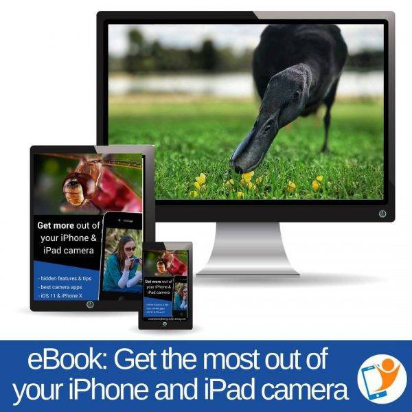 Free Android Smartphone - iPhone Photography Course #photoandtips #androidphotography #smartphonephotography #iphonephotography #freecourse #freesmartphonephotography #smartphonephoto #phototips #iphonetips