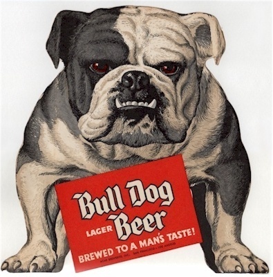 Pinned Image #beer #illustration #bulldog
