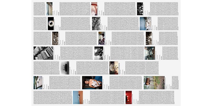 Phenotypes/Limited Forms Special Edition | Lars Müller Publishers