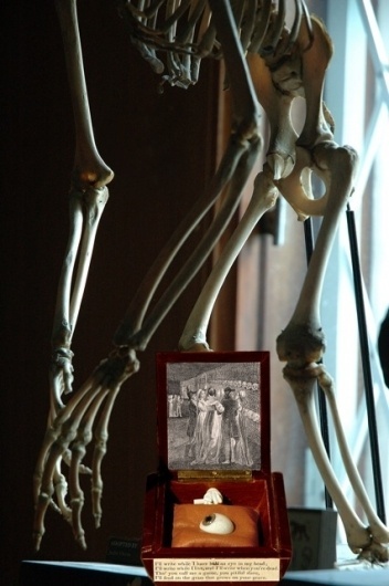 Morbid Anatomy: February 2010 #glass #eye #bones