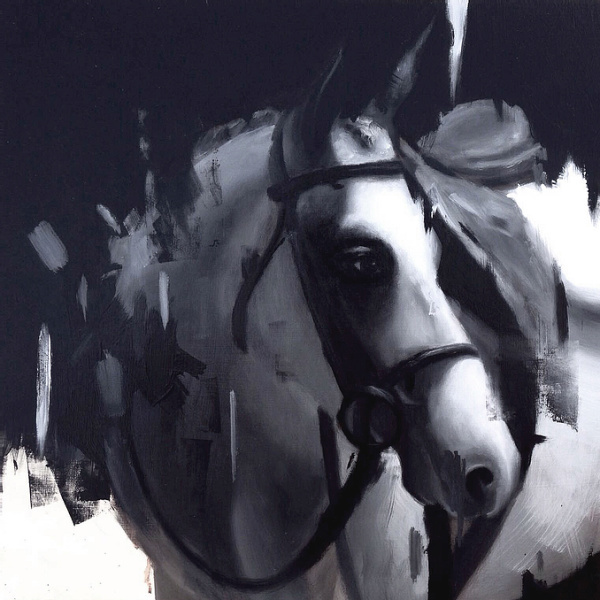 Delfin Finley | PICDIT