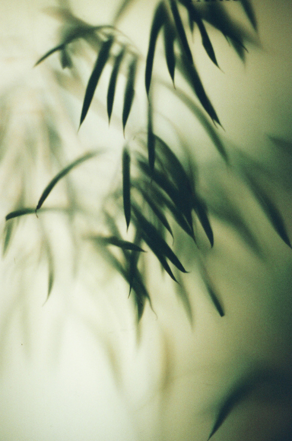 Marion Berrin | PICDIT #photo #photography #design