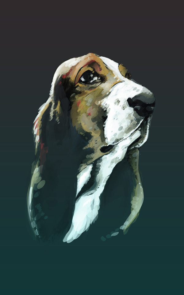 Dog #sears #hound #illustration #portrait #painting #animal #dog
