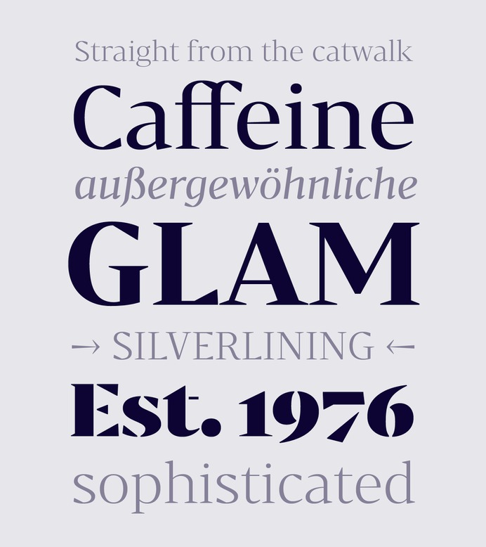 Bw Darius - Fonts - Branding with Type