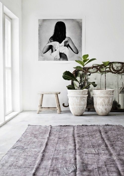 Interior Design #plants #potters