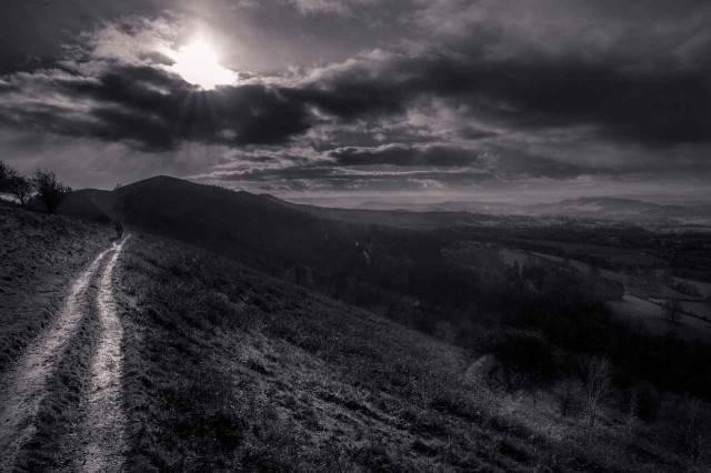 Photography by Freddie Ardley #inspiration #photography #art #fine