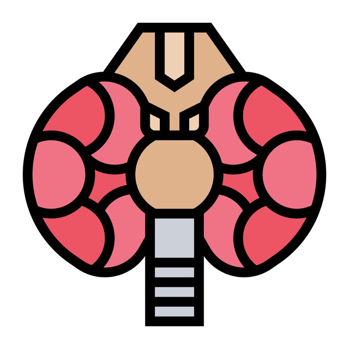See more icon inspiration related to thyroid, gland, thyroid gland, healthcare and medical, anatomy, larynx, body organ, human body, organ and medical on Flaticon.