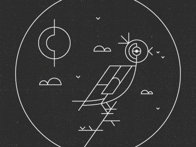 Bird #lines #white #black #bird #illustration