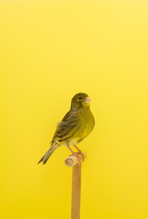 Photography by luke stephenson #art