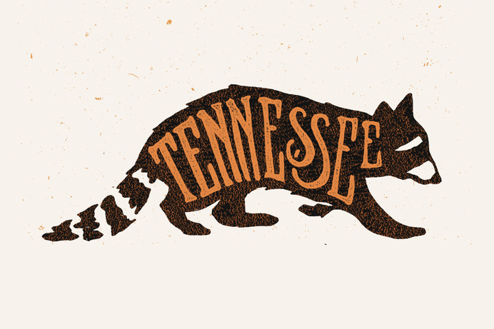 Random Lettering Projects / 2013 on Behance by Joshua Noom #raccoon #tennessee #illustration #drawn #hand #typography
