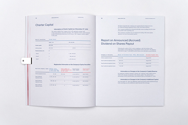 SNGP Annual Report on Behance #annual #report