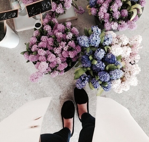 flowers