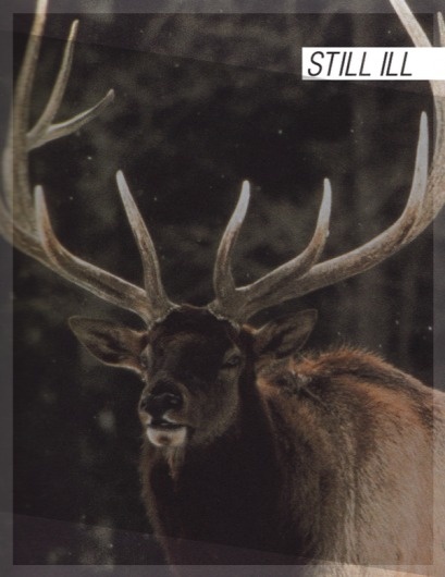 Zine Cover #zine #morrissey #dodaro #jen #still #ill