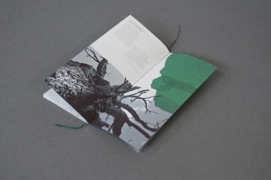 Above & Below on the Behance Network #branding #museum #print #design #graphic #of #identity #logo #trees