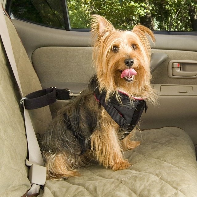 Pet Vehicle Safety Harness #tech #flow #gadget #gift #ideas #cool
