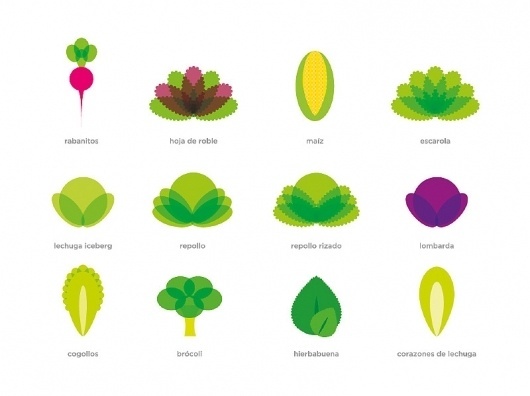 Packs Agromediterránea - flipando en PANTONE #ataz #illustration #andrea #ssalad