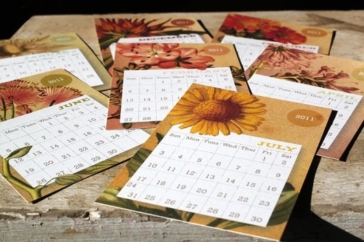 Snail's Pace 2011 Desk Calendars #2011 #calendar #pace #desk #snais #stationery #paper