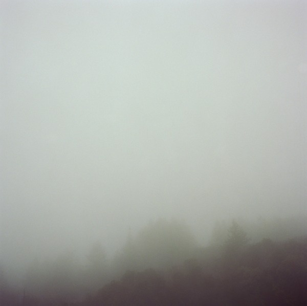 Andrew Paynter | PICDIT #photo