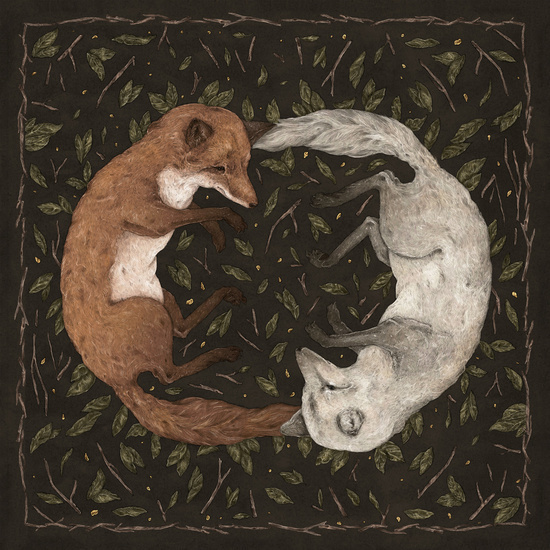 Foxes by Jessica Roux