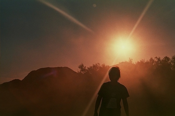 Untitled | Flickr - Photo Sharing! #sun #flare #warm #silhouette #ana #sunset #coquinete