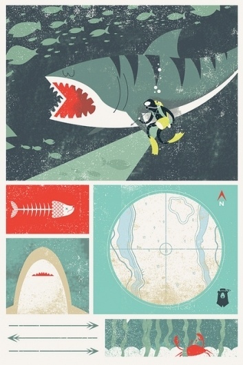 Day 6 - iPhone Wallpaper | Flickr - Photo Sharing! #fish #divers #shark #sharks #iphone #sand #blake #suarez #wallpaper #tiger