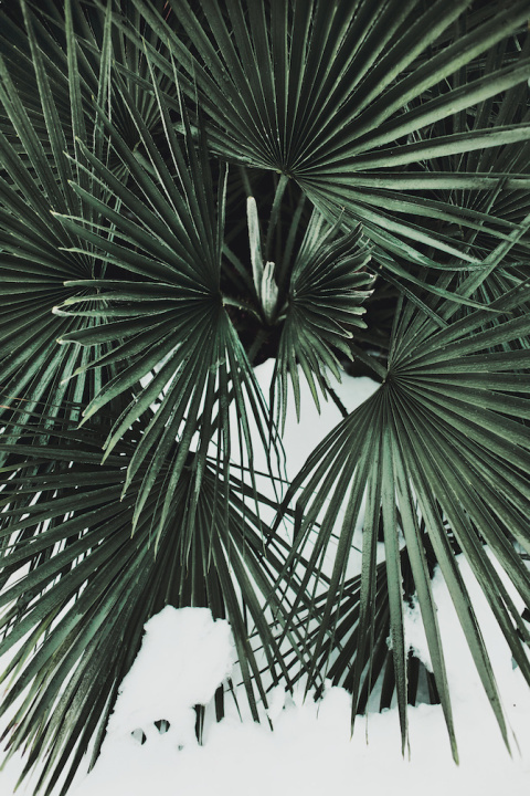 Margaux Roy | PICDIT #photo #photography