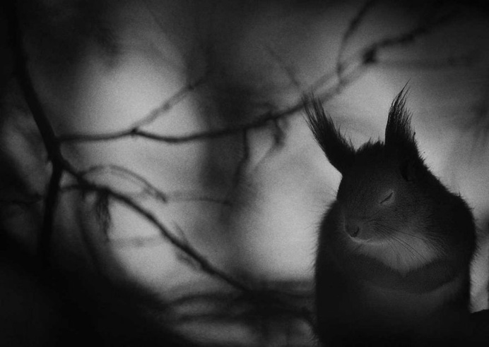 Winter pause by Mats Andersson